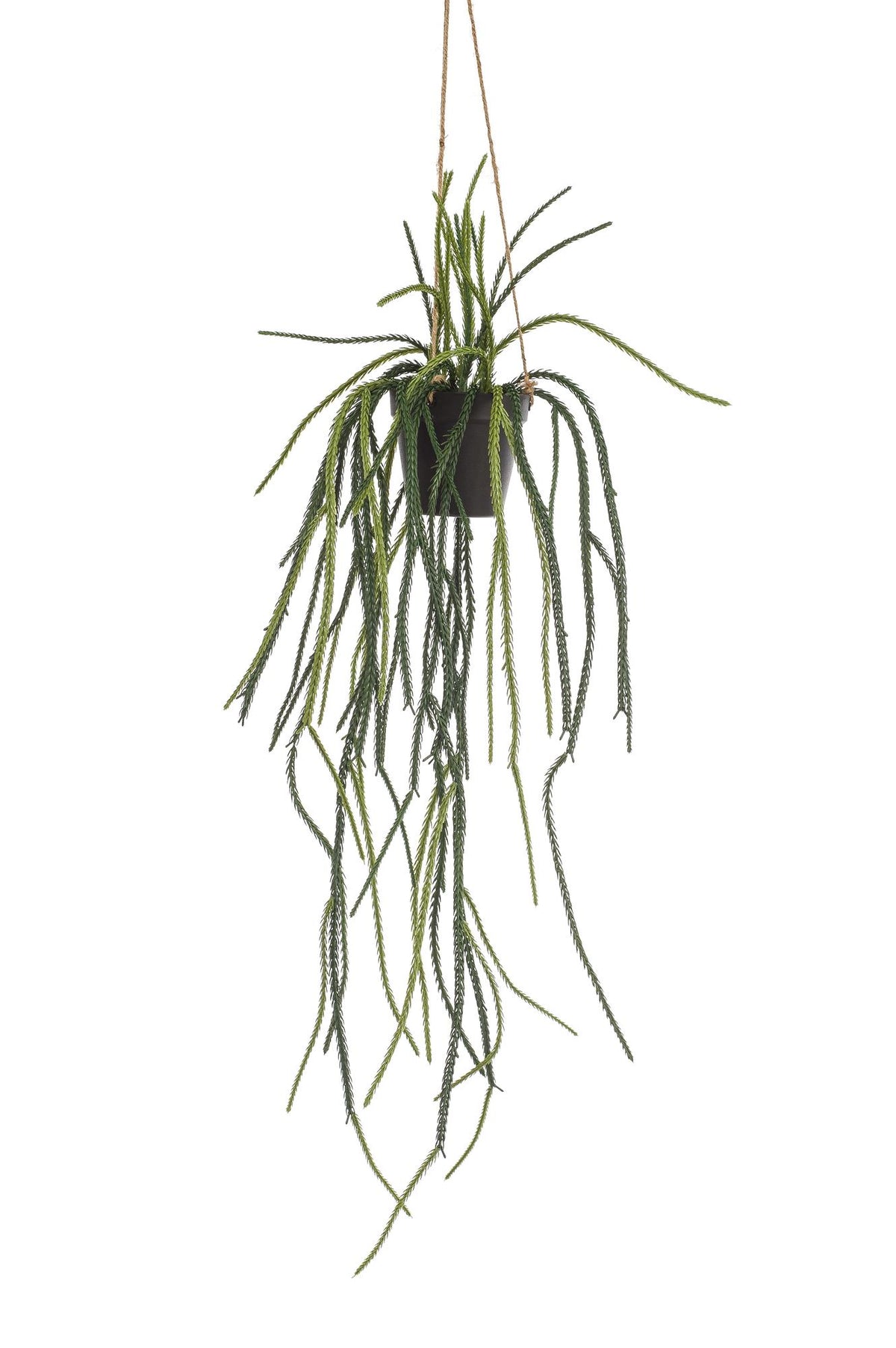 Productafbeelding van Pureplant