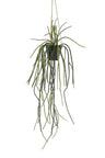 Kunstplant - Rhypsalis - Koraalcactus