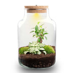 Productafbeelding van Pureplant