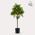 Productafbeelding van Pureplant