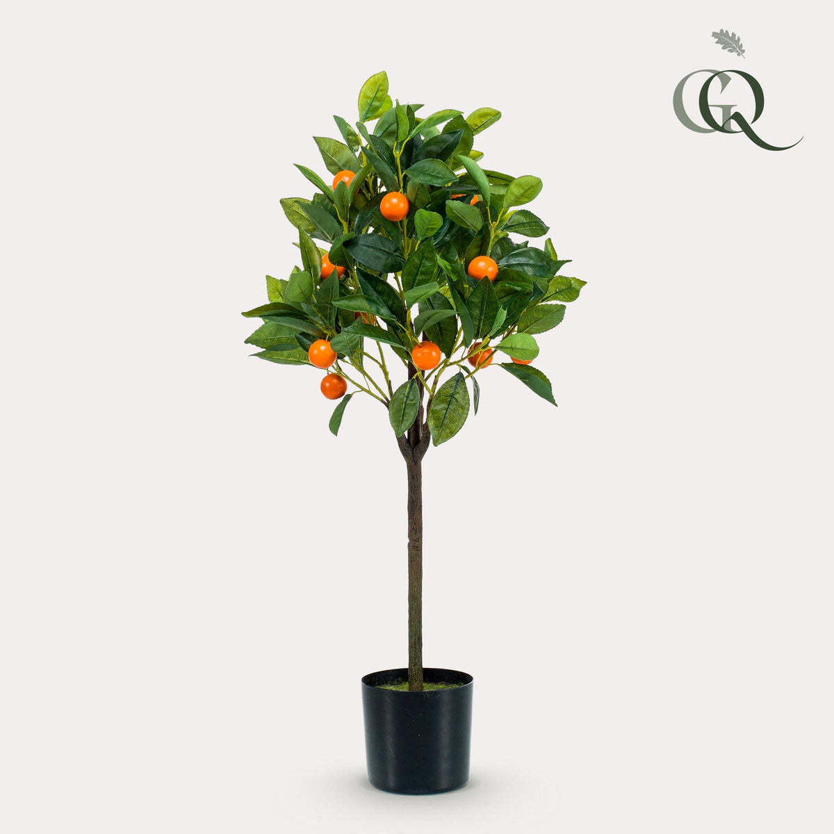 Productafbeelding van Pureplant