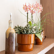 Kolibri Home Timeless sierpot - oranje - Ø9 cm
