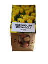 Tulpenbollen Strong Gold – 20 Stuks | KH Bloembollen® | Gele Tulp – Stralend & Krachtig – Voor Tuin of Pot – Maat 11/12