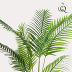 Kunstplant - Howea Forsteriana, kenmerkend blad