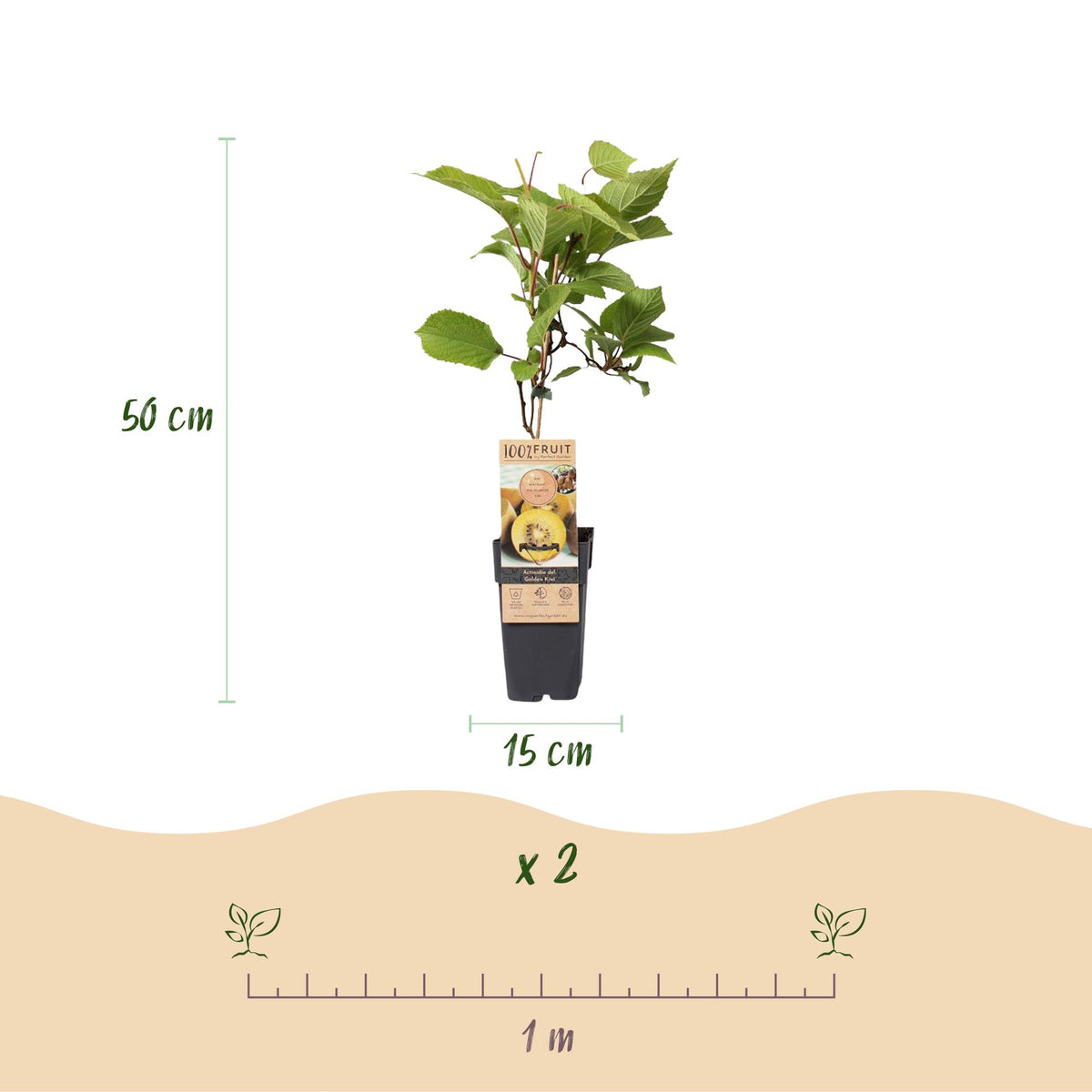 Productafbeelding van Pureplant