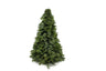 Nobilis kerstboom met geurige naalden, 50 cm hoog
