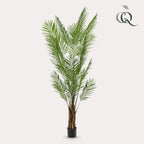Kunstplanten - Areca Lutescens - Goudpalm, plant in pot
