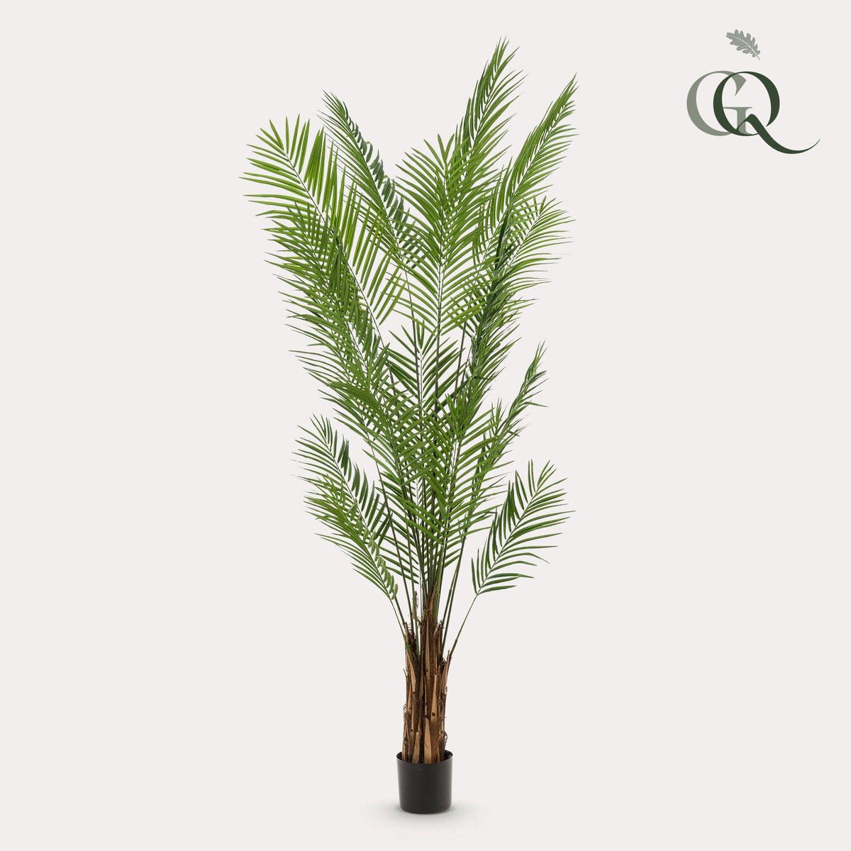 Kunstplanten - Areca Lutescens - Goudpalm, plant in pot