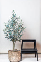 Productafbeelding van Pureplant