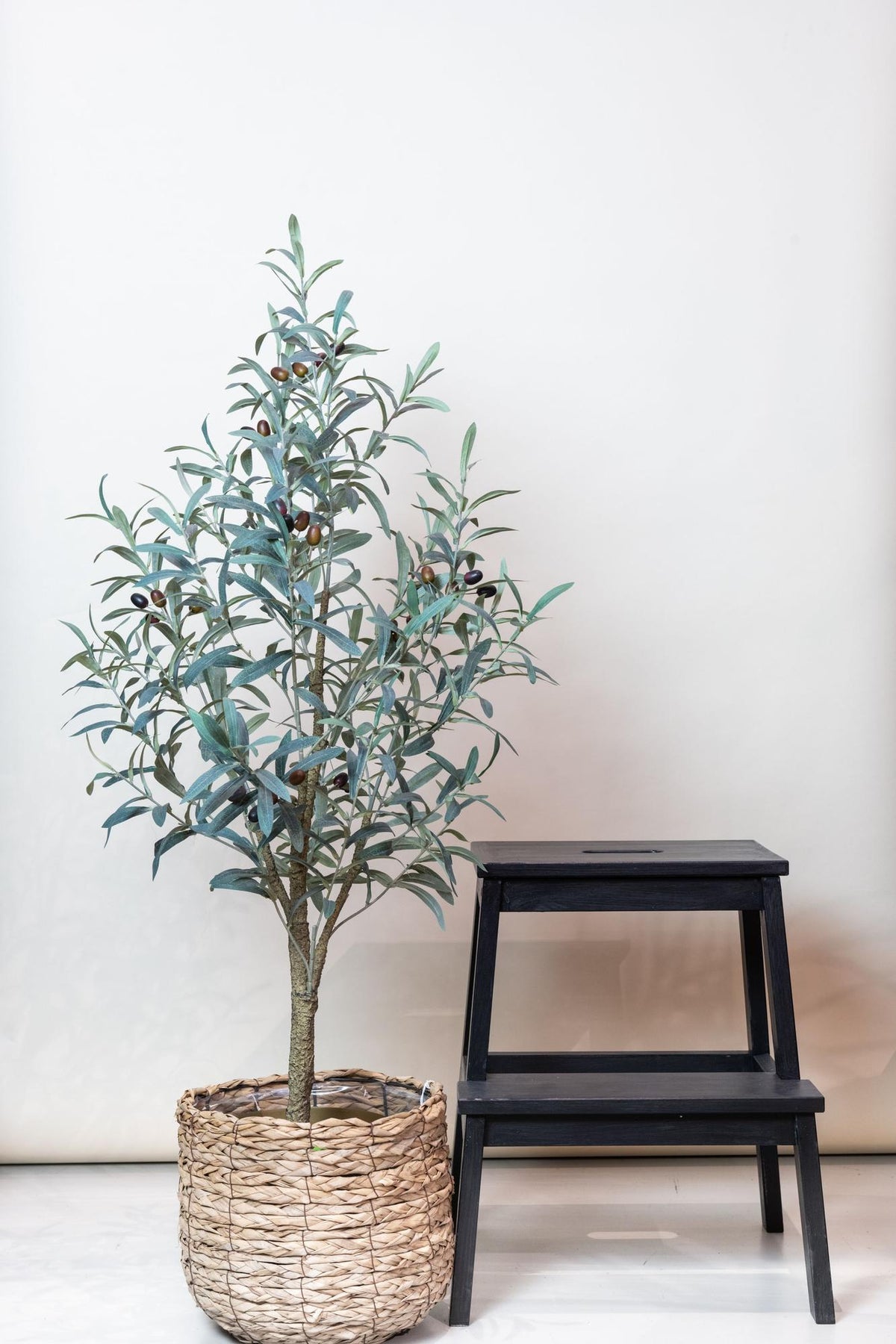 Productafbeelding van Pureplant