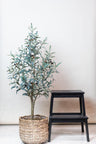 Kunst olijfboom Olea europaea, altijd in vorm, 115 cm