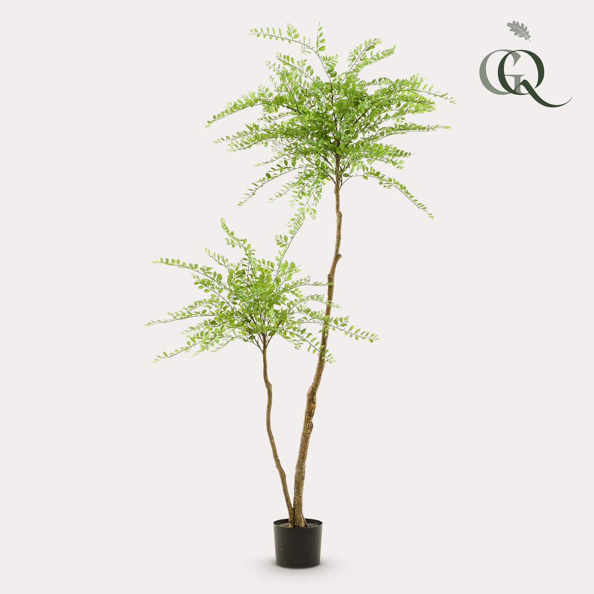 kunstplant - Sophora tree  - Honingboom, plant in pot