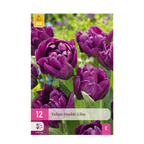 Tulp Double Lilac, detail van het blad