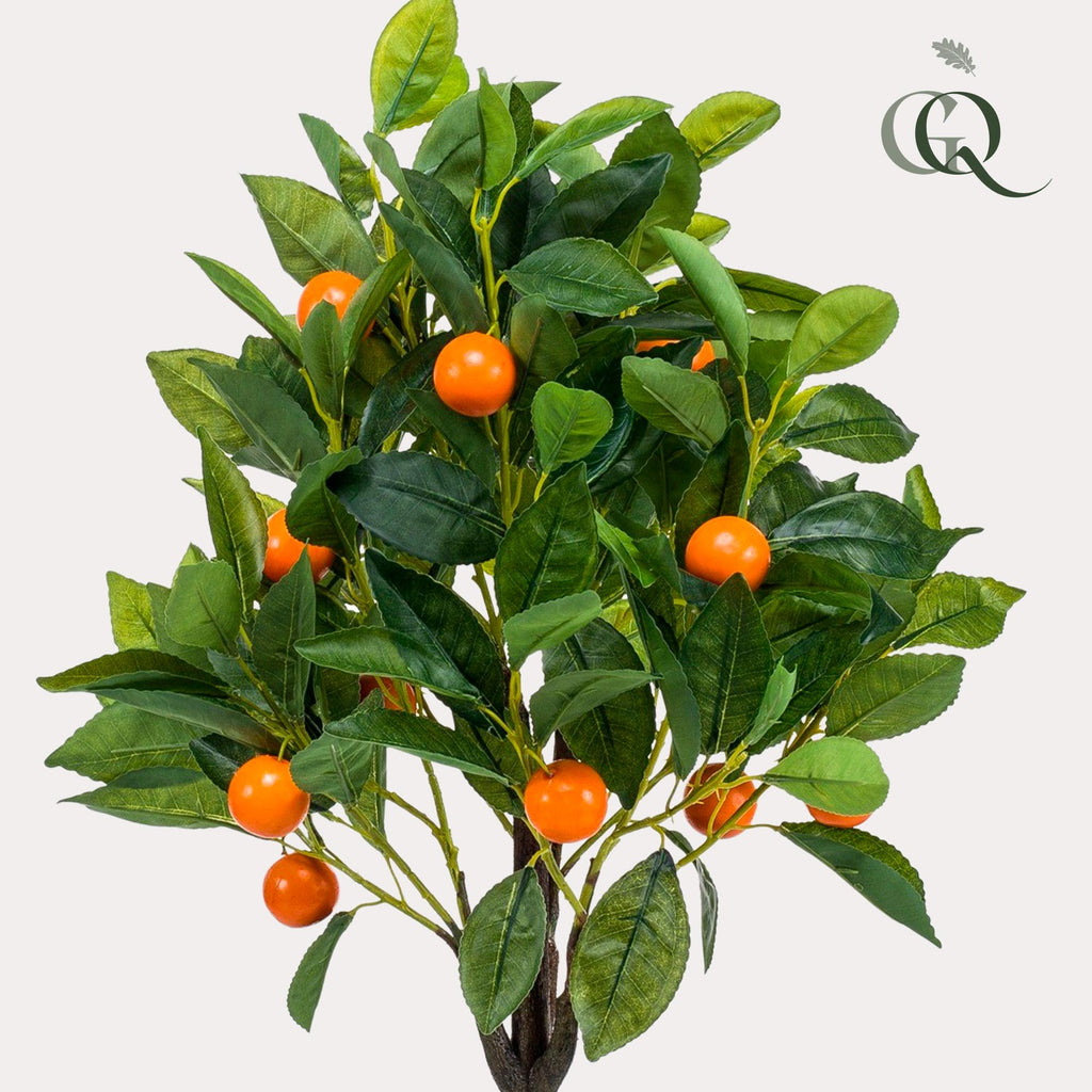 Productafbeelding van Pureplant