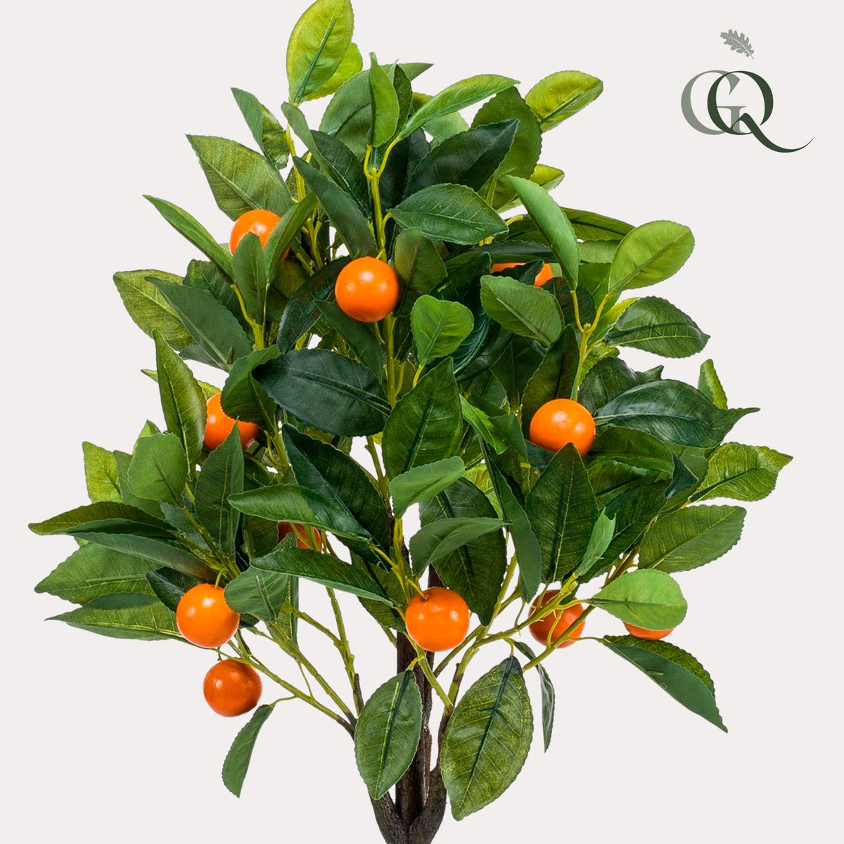 Productafbeelding van Pureplant