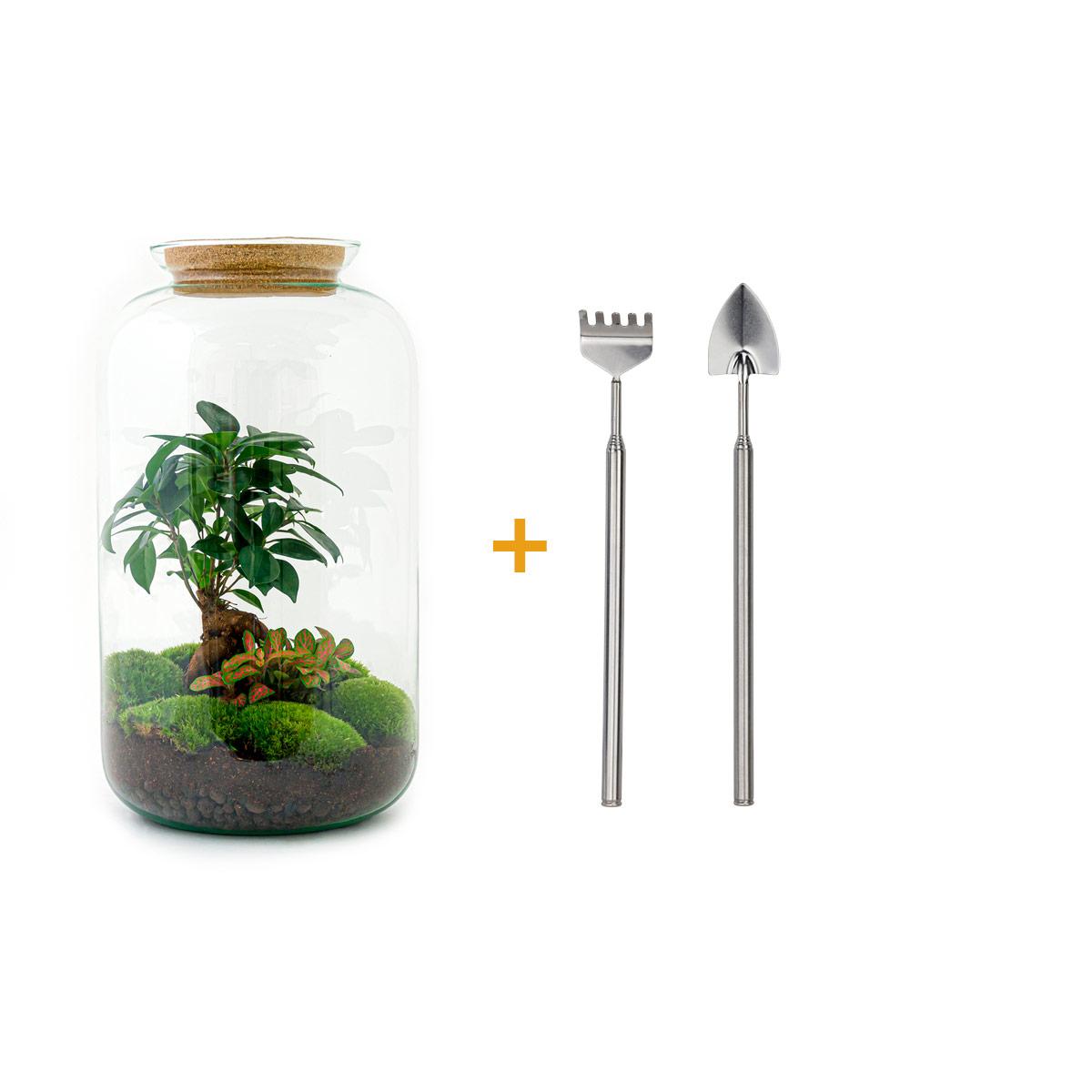 Detailfoto van DIY terrarium - Sven Bonsai - Met hark en schep