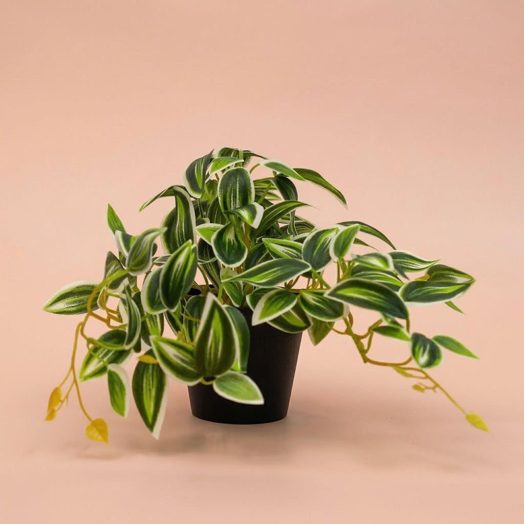 Kunstplant Tradescantia groen/wit, kenmerkend blad