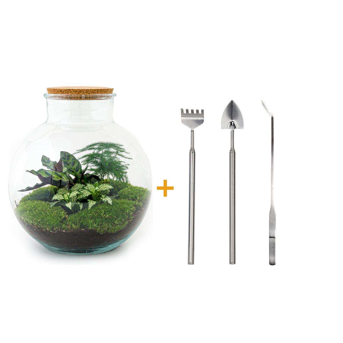Detailfoto van DIY terrarium Bolder Bob met licht, hark, schep, pincet