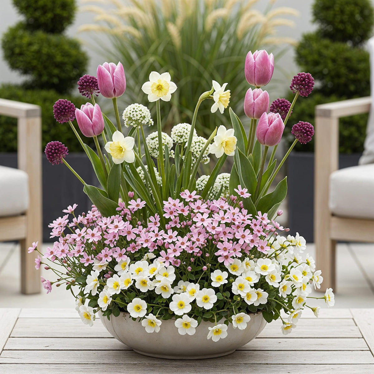 Bulb Garden Pink mix, plant in pot