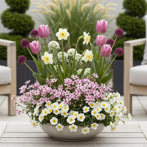 Bulb Garden Pink mix, plant in pot