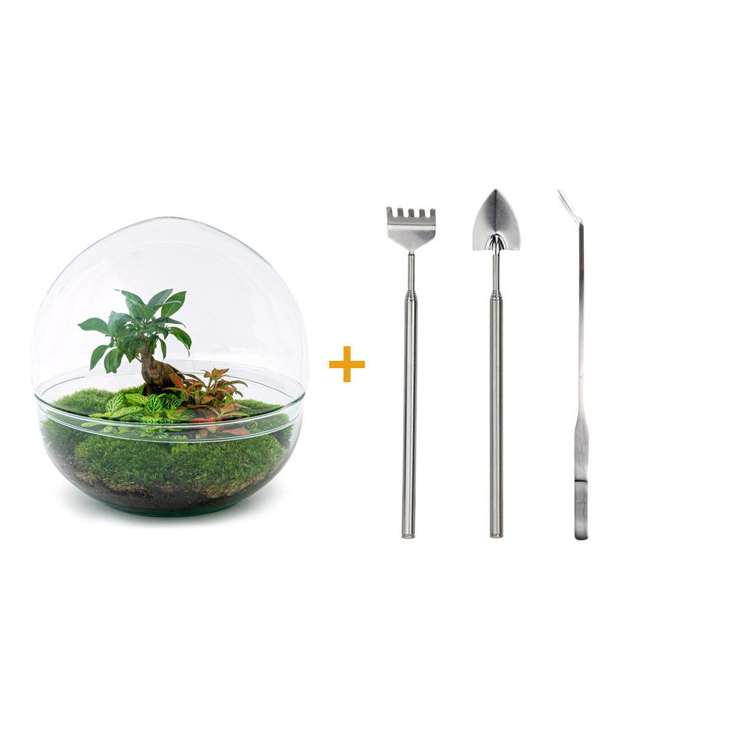 Detailfoto van DIY terrarium bolglas Dome XL Bonsai, hark, schep, pincet