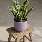 Productfoto van Elho Jazz Round pot in Lavender Lilac, Ø14 cm