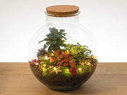 Kerst Terrarium Decoratiepakket