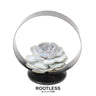 ROOTLESS Succulent Echeveria Lilacina op Deco tafelstandaard