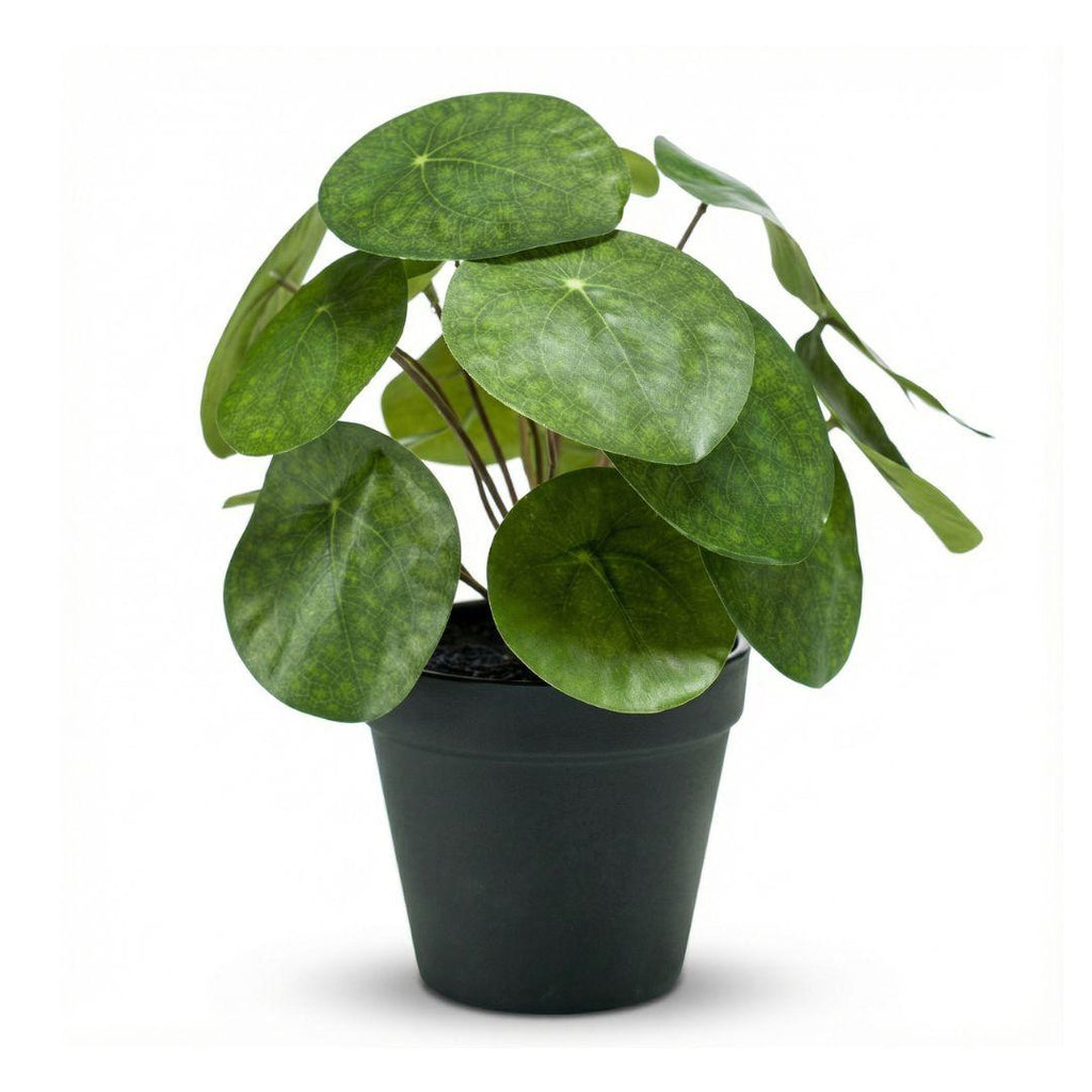 Pilea bush kunstplant in zwarte pot, kenmerkend blad