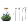 DIY terrarium - Sammie Calathea - Met complete gereedschapsset
