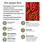 Rode plukgroente mix, tomaat, paprika, hete peper, 3 planten, plant voor tuin en border