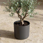 Elho b.for soft bloempot, antraciet, mat fluweelzacht, 18 cm, kenmerkend blad