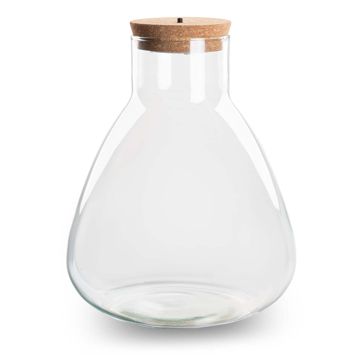 Terrarium fles met verlichting - Sam, plant in pot