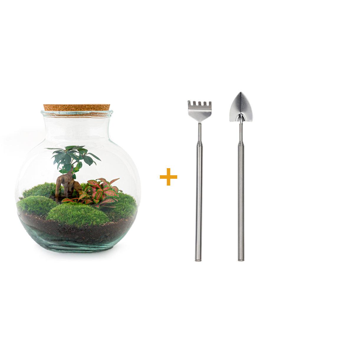 Productafbeelding van Pureplant
