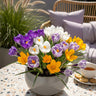 Crocus Large Flowering mix