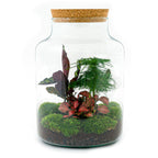 Detailfoto van DIY terrarium Milky met licht, hark, schep, pincet