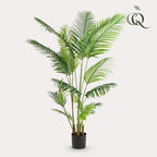 Kunstplant - Howea Forsteriana, detail van het blad