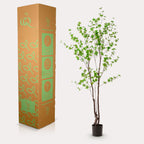 Productafbeelding van Pureplant