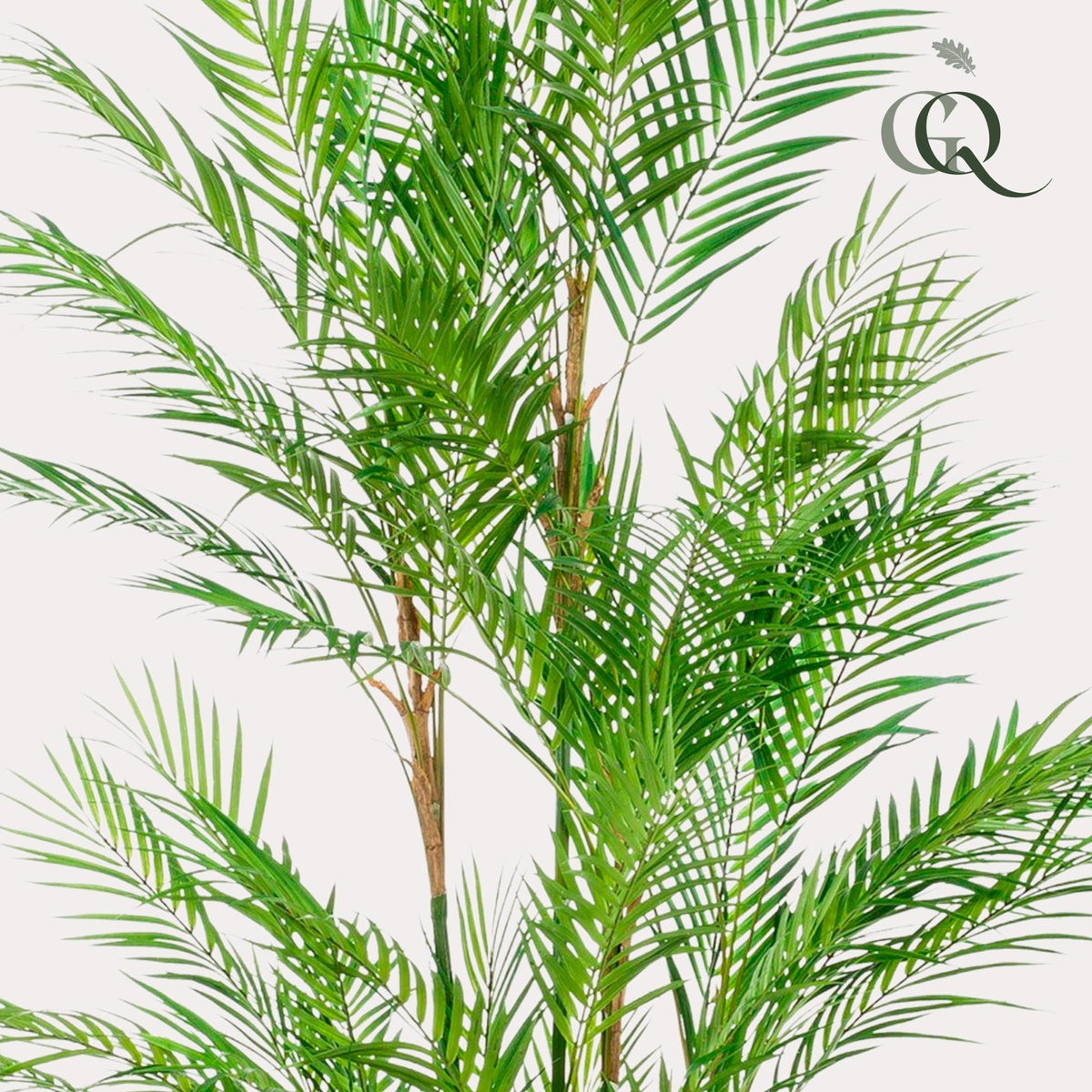 Kunstplant Chamaedorea elegans, bergpalm, 180 cm, groene bladeren