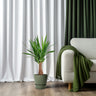 Yucca Maya Tree 30stam