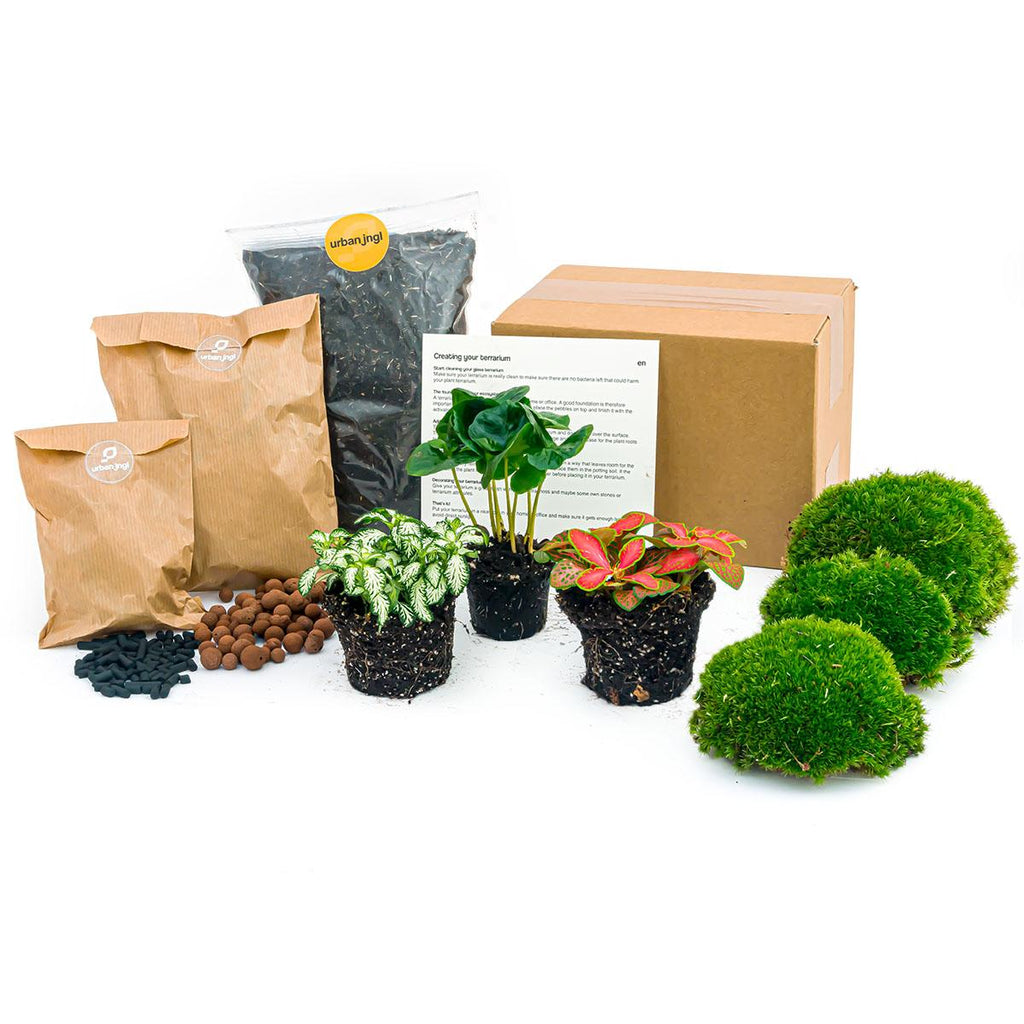 Productafbeelding van Pureplant