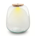 Terrarium fles met verlichting - Emma, plant in pot