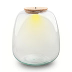 Terrarium fles met verlichting - Emma, plant in pot