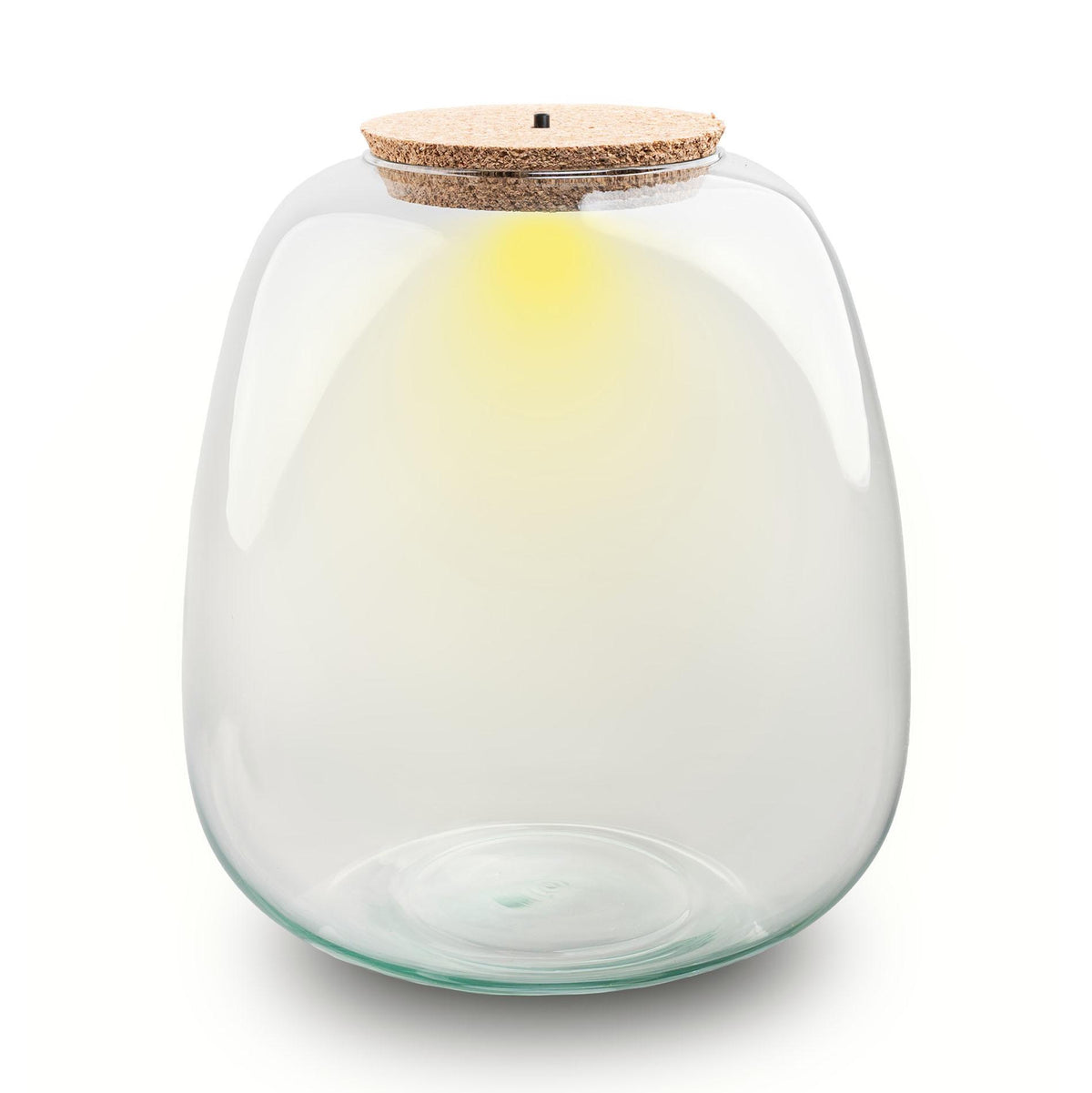 Terrarium fles met verlichting - Emma, plant in pot