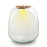 Terrarium fles met verlichting - Emma