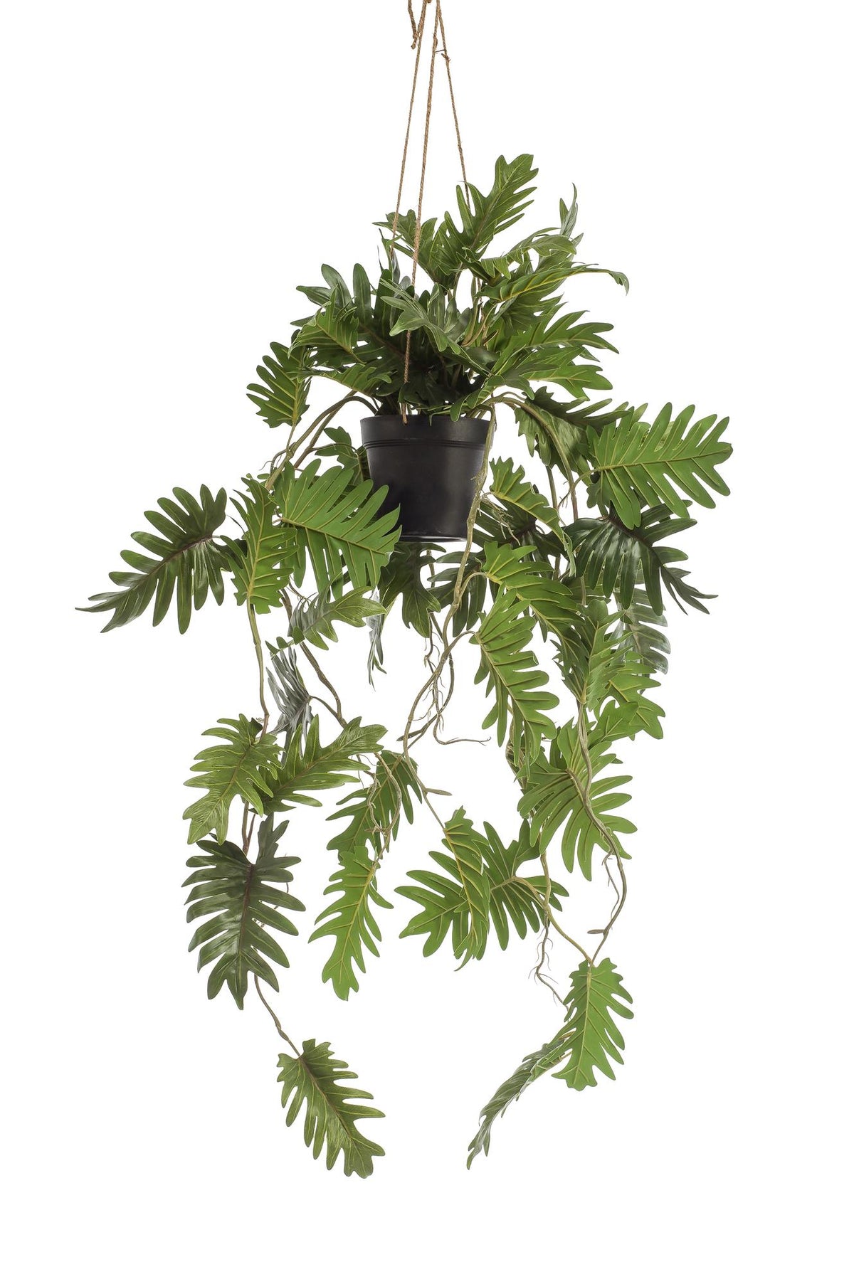 Productafbeelding van Pureplant