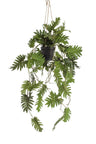 Kunstplant - Philodendron - Klimmende boomliefhebber