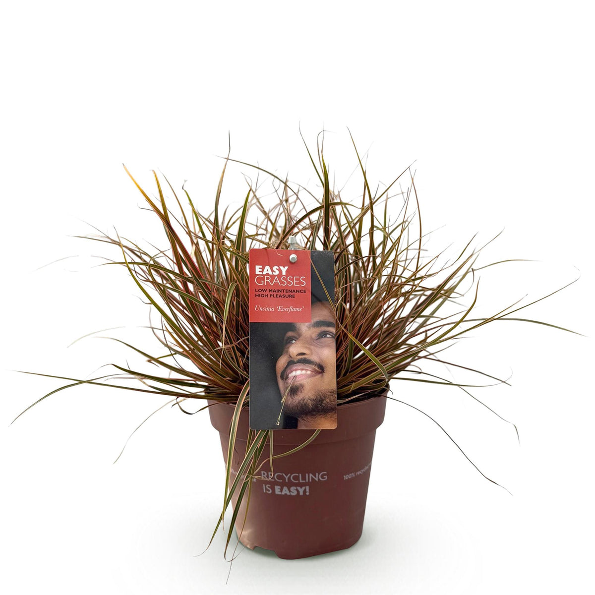 Productafbeelding van Pureplant