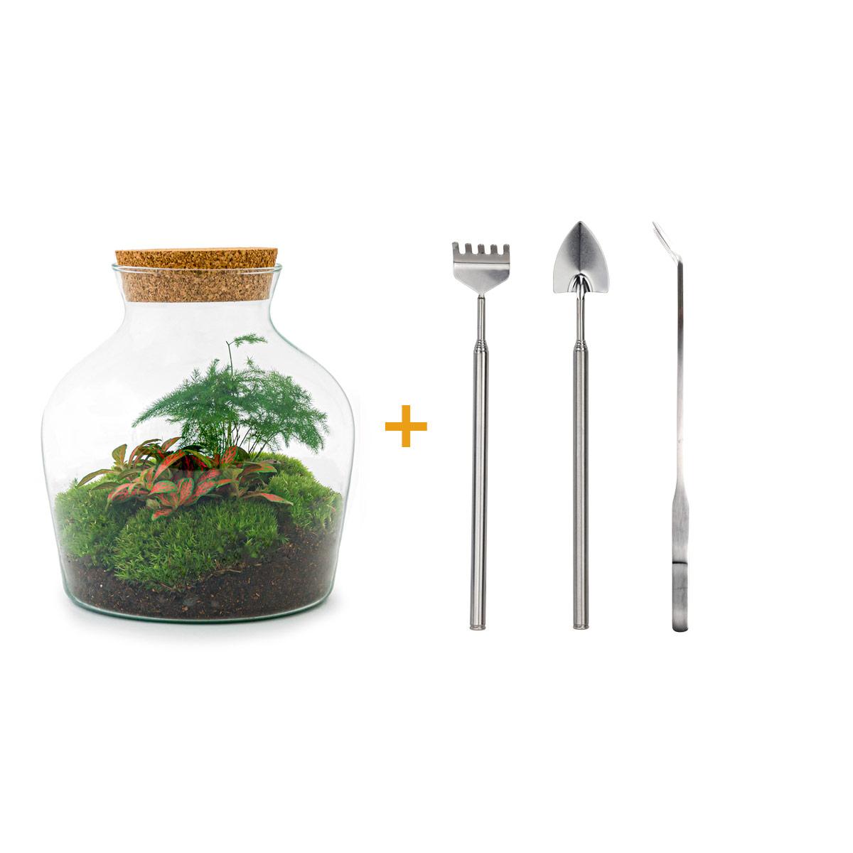 Detailfoto van DIY terrarium - Little Joe - Met hark, schep en pincet