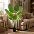 Kunstplant - Strelitzia Nicolai, plant in pot